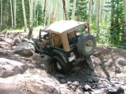bob_in_the_rock_garden_part_5