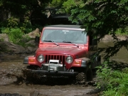 bud_through_a_mud_puddle