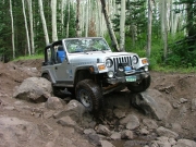 don_down_the_rock_garden