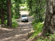 don_through_a_mud_puddle