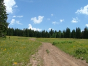 mellow_trail_after_the_climb