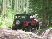 monica_flex_part_1
