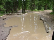 more_mud