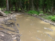 muddy_water