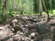 rock_garden_part_2
