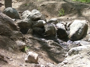 rock_garden_part_4