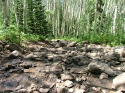 rock_garden_part_5