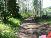 start_of_the_trail