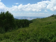 view_from_the_top