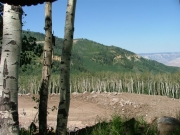 view_near_the_start