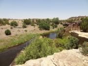 accessible_trail_view_part_1