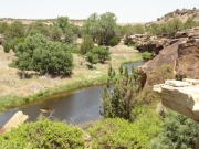accessible_trail_view_part_2