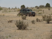 walt_on_the_trail