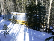 school_bus