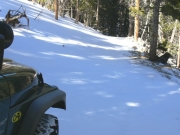 virgin_snow
