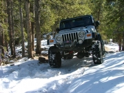 dane_up_the_hill_part_4