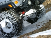 dane_with_a_little_snow