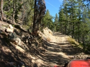 climbing