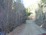 early_trail