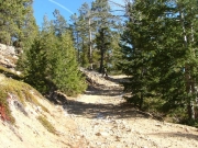 getting_rockier