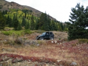 ladd_on_the_trail