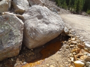 yellow_water