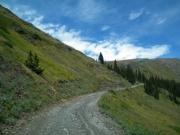 alpine