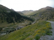 animas_forks