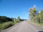 early_trail