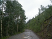 puddles_and_aspens