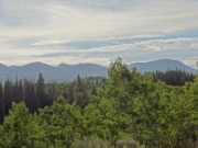 big_view