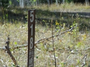forest_service_sign