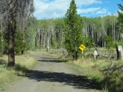 roadsign
