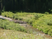 mineral_creek