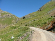 snaking_trail