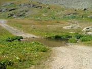 water_crossing_at_spur