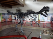 dinosaur_part_1