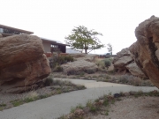 picnic_area_part_4