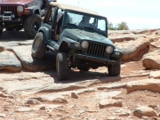 bob_flexing