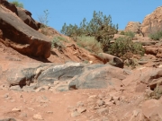 rocks_at_the_start
