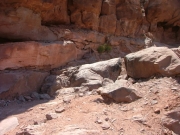 cliff_obstacle_part_1
