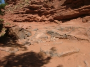 creek_climb_part_2