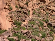 jacksons_ladder_part_3