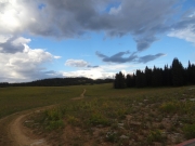 trail_ahead