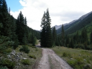 meadow