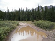 puddle