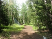 early_trail