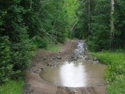 puddle_in_the_rain