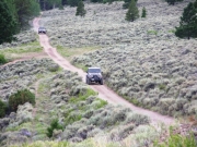 through_the_sage_brush