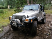 bill_on_the_trail